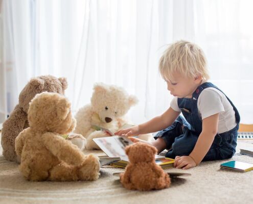 Der Bildungsplan - Leitfaden der Bildungsarbeit, Ausbildung Wien