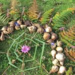 Natur und Kunst – LandArt und Naturmaterial