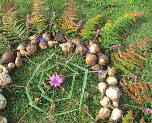 Natur und Kunst – LandArt und Naturmaterial