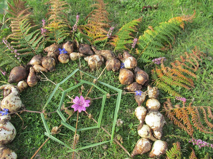 Natur und Kunst – LandArt und Naturmaterial