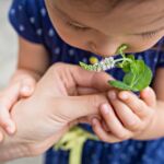 Aroma Wolke Ausbildung Wien Niederösterreich