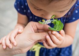 Aroma Wolke Ausbildung Wien Niederösterreich