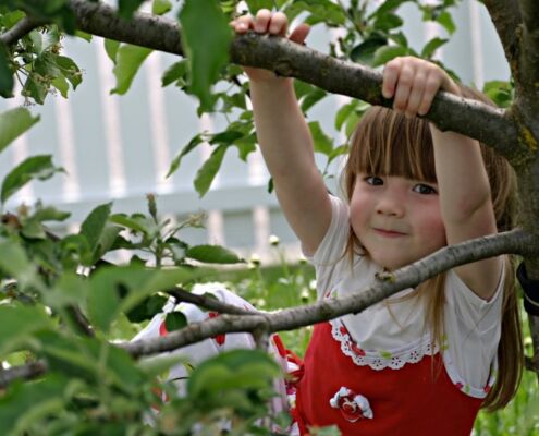 Erstehilfe für Kinder, Wien Niederösterreich