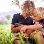 Brothers Holding And Feeding A Cute Bunny At Park