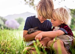 Brothers Holding And Feeding A Cute Bunny At Park