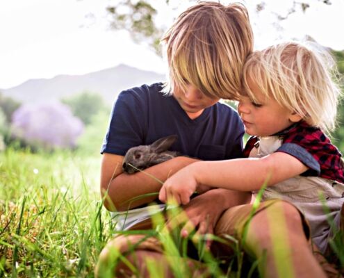 Brothers Holding And Feeding A Cute Bunny At Park