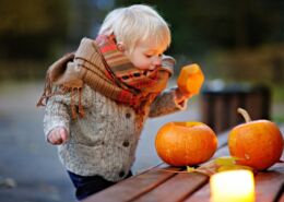 Toddler Playing With Halloween Pumpkins