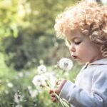 Cute Curly Child Girl Looking Like Dandelion Blowing Dandelion In Summer Park In Sunny Day With Sunlight
