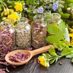 Healing Herbs, Naturapotheke, Wien Niederösterreich