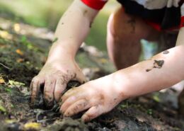 Naturzeitwissen Ausbildung Wien Niederösterreich