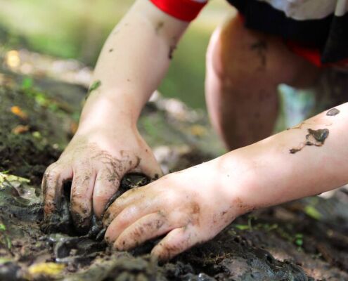 Naturzeitwissen Ausbildung Wien Niederösterreich