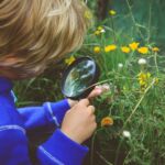 Pflanzenkunde, Wien Niederösterreich