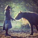 selbsterfahrung pferd kinderbetreuung