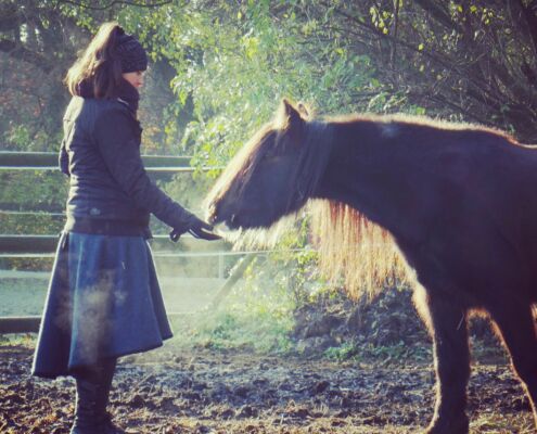 selbsterfahrung pferd kinderbetreuung