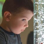 Synaesthesie, Wien Niederösterreich