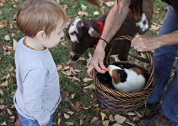 Boy With Guinea Pig