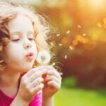 Wiesenkinder, Wien Niederösterreich