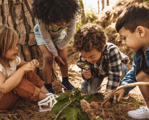 NaturpaedagogIn Kursleitung Ausbildung