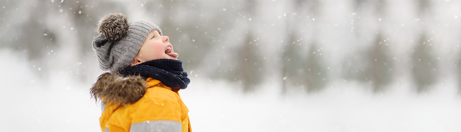 Winter Slider - Naturpädagogik und Elementarpädagogik